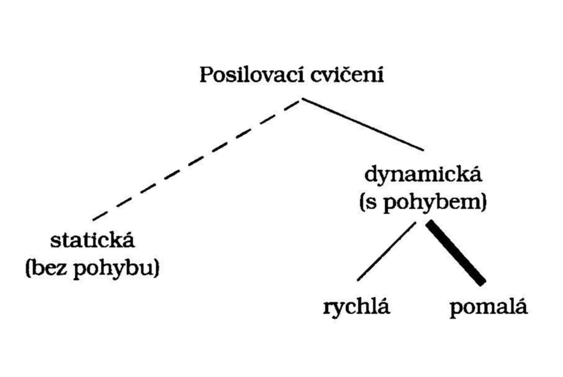 Obrázek 5 - Typy posilovacích cvičení (Čermák, 2000) 